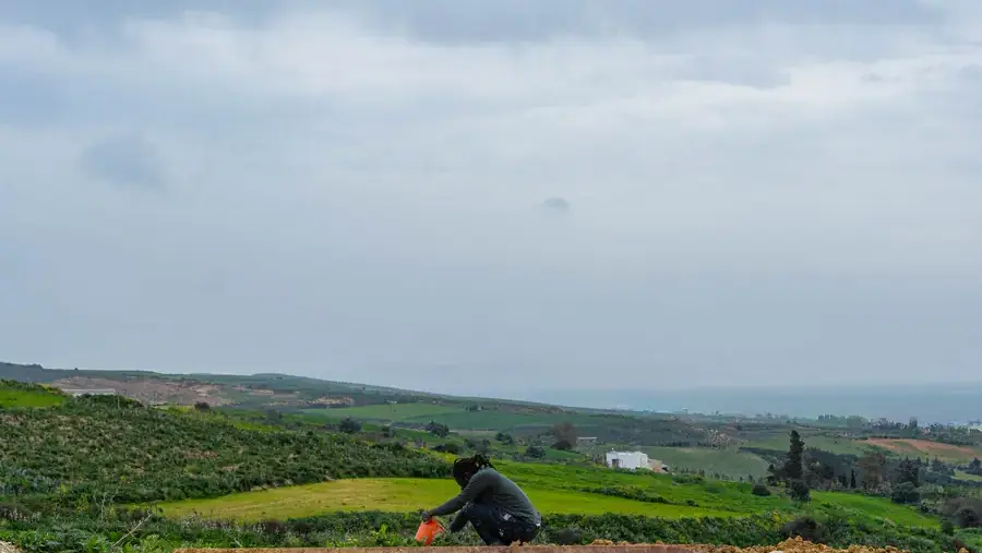 Artists in Residency: 1st Cohort of 2026