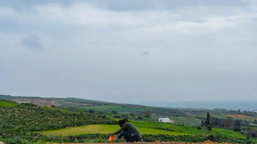 Artists in Residency: 1st Cohort of 2026