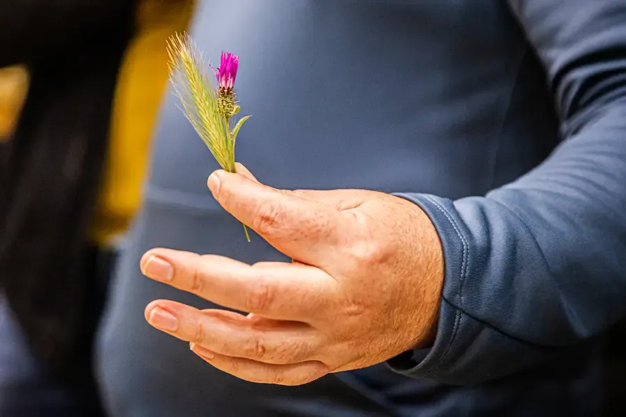 اللقاءات الهادفة