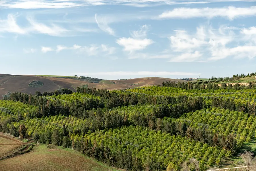 Résidence_dartistes_landscape_crédit_Med_Azzabi_20